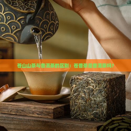苍山山茶与普洱茶的区别：苍普茶是普洱茶吗？
