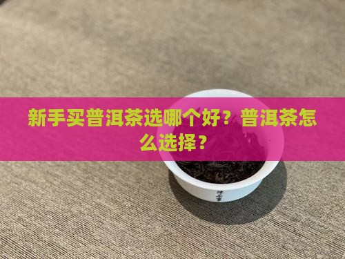 新手买普洱茶选哪个好？普洱茶怎么选择？