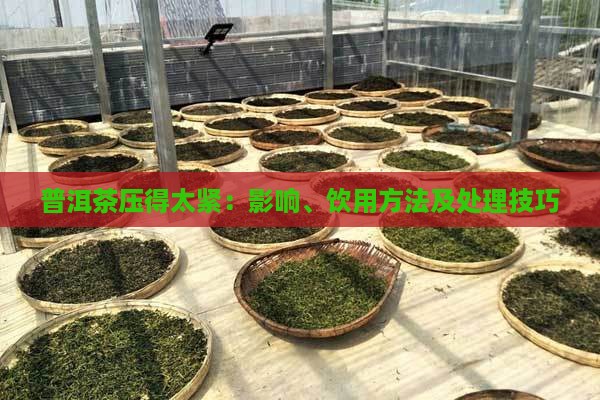 普洱茶压得太紧：影响、饮用方法及处理技巧