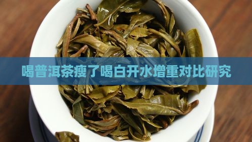 喝普洱茶瘦了喝白开水增重对比研究