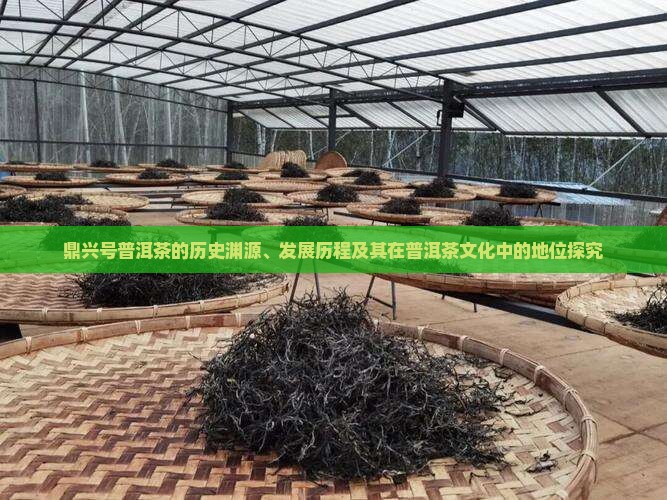 鼎兴号普洱茶的历史渊源、发展历程及其在普洱茶文化中的地位探究