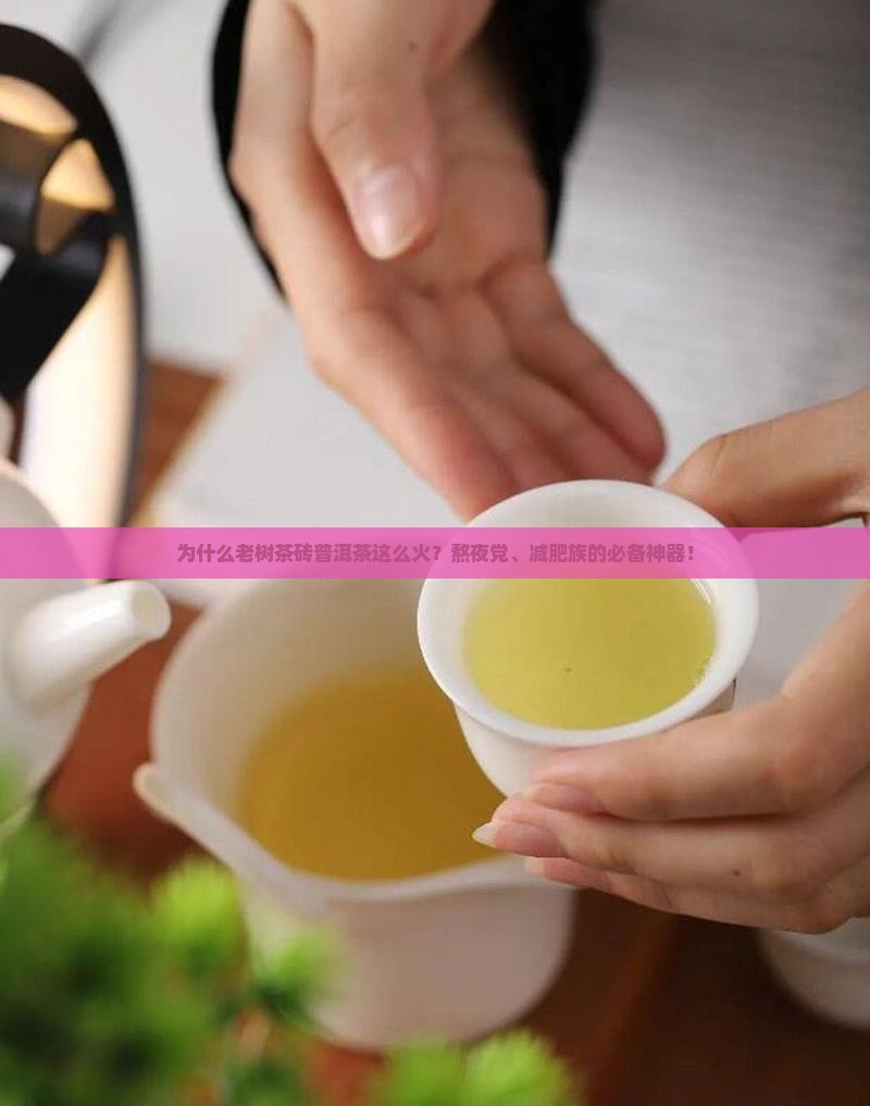 为什么老树茶砖普洱茶这么火？熬夜党、减肥族的必备神器！