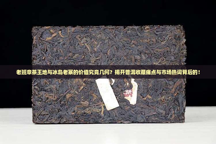 老班章茶王地与冰岛老寨的价值究竟几何？揭开普洱收藏痛点与市场热词背后的！