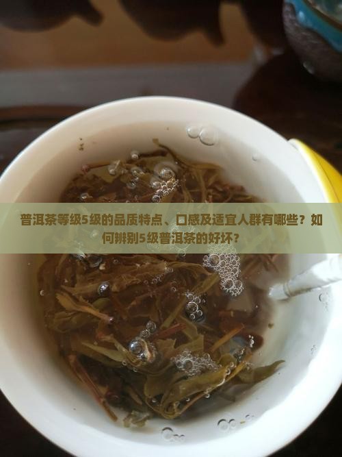 普洱茶等级5级的品质特点、口感及适宜人群有哪些？如何辨别5级普洱茶的好坏？