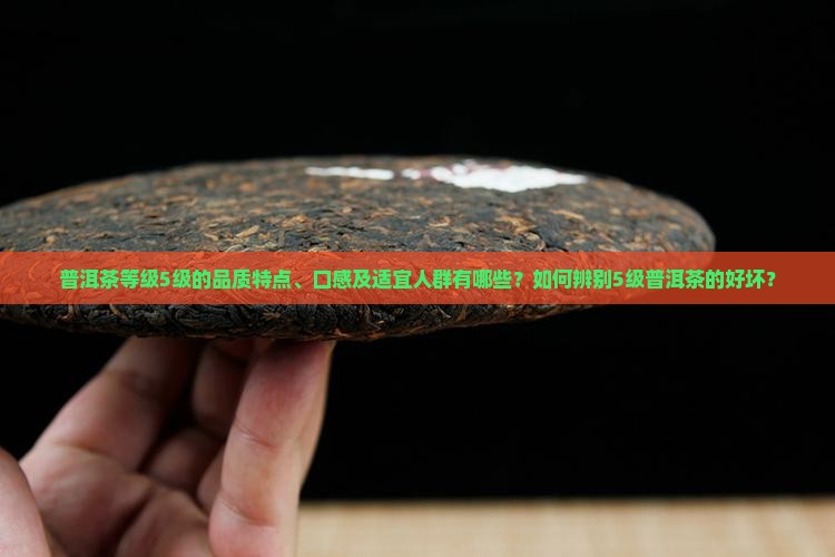 普洱茶等级5级的品质特点、口感及适宜人群有哪些？如何辨别5级普洱茶的好坏？