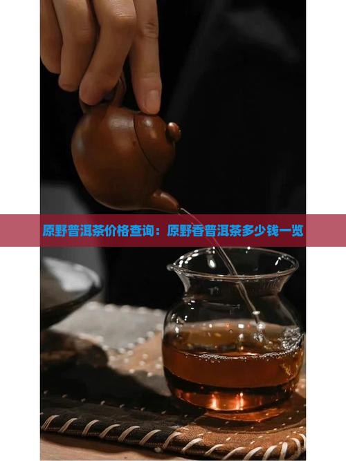 原野普洱茶价格查询：原野香普洱茶多少钱一览