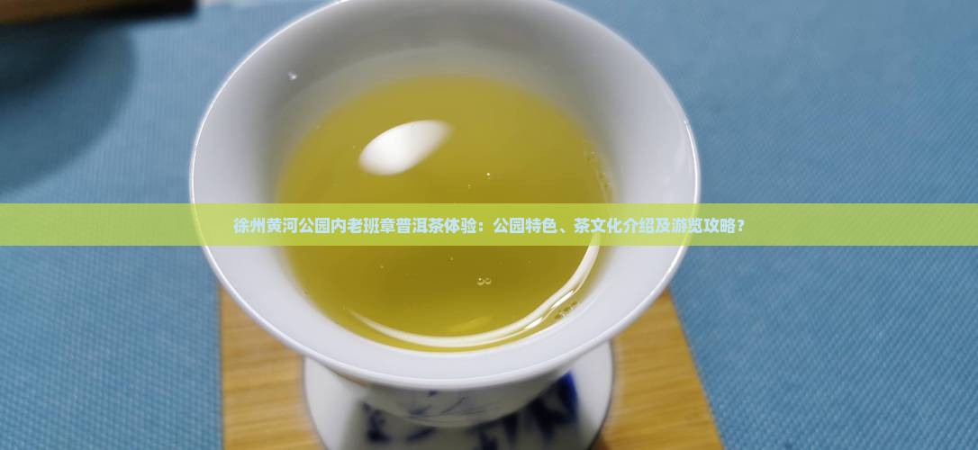 徐州黄河公园内老班章普洱茶体验：公园特色、茶文化介绍及游览攻略？