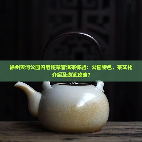 徐州黄河公园内老班章普洱茶体验：公园特色、茶文化介绍及游览攻略？