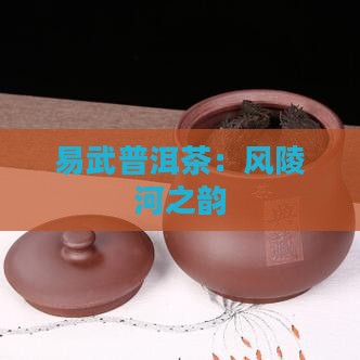 易武普洱茶：风陵河之韵