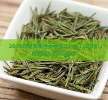 2019年普洱茶拍卖会拍了什么？成交价格如何？有何亮点？