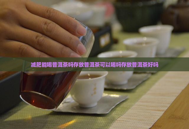 减肥能喝普洱茶吗存放普洱茶可以喝吗存放普洱茶好吗