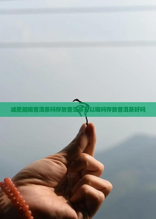 减肥能喝普洱茶吗存放普洱茶可以喝吗存放普洱茶好吗