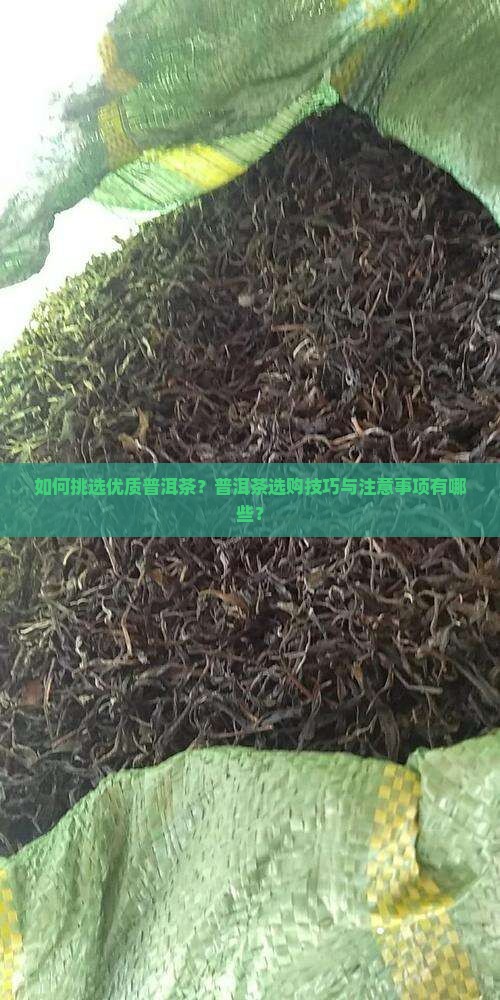 如何挑选优质普洱茶？普洱茶选购技巧与注意事项有哪些？