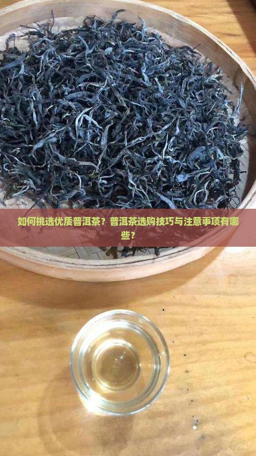 如何挑选优质普洱茶？普洱茶选购技巧与注意事项有哪些？