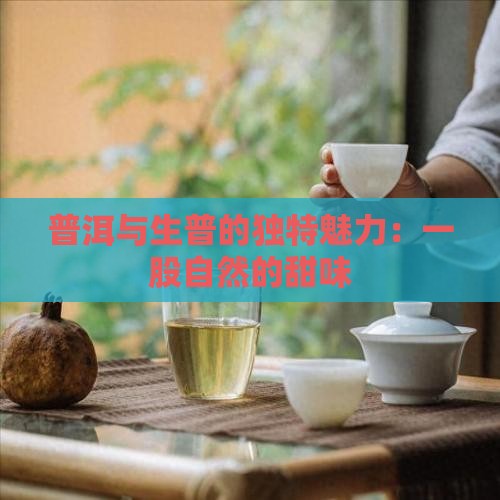 普洱与生普的独特魅力：一股自然的甜味