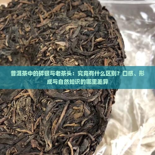 普洱茶中的碎银与老茶头：究竟有什么区别？口感、形成与自然知识的哪里差异