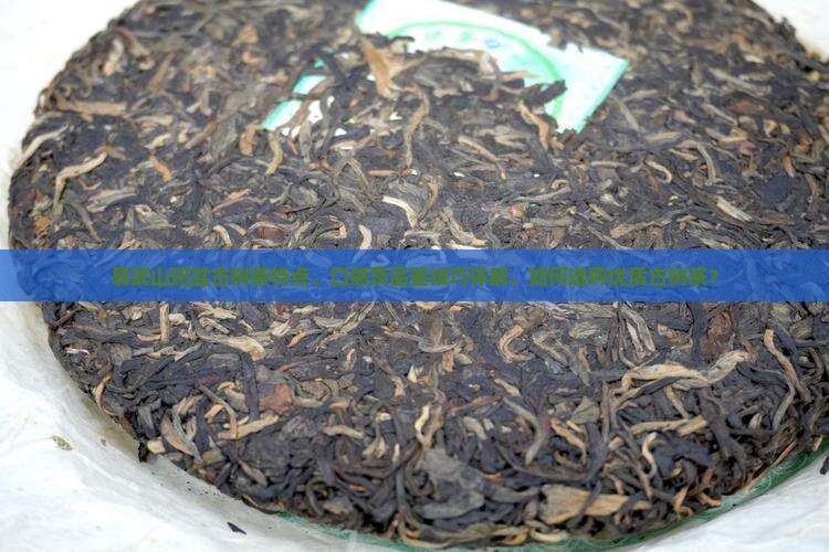 易武山班盆古树茶特点、口感及品鉴技巧详解，如何选购优质古树茶？