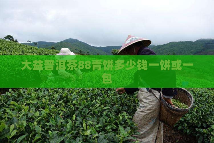 大益普洱茶88青饼多少钱一饼或一包