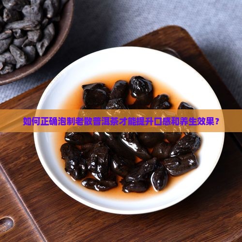如何正确泡制老散普洱茶才能提升口感和养生效果？