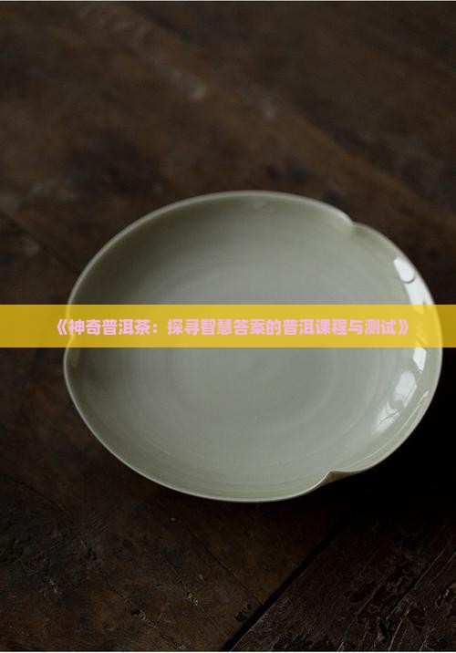 《神奇普洱茶：探寻智慧答案的普洱课程与测试》