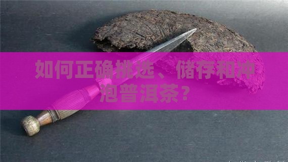 如何正确挑选、储存和冲泡普洱茶？