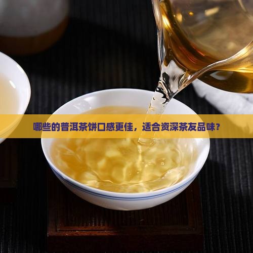 哪些的普洱茶饼口感更佳，适合资深茶友品味？