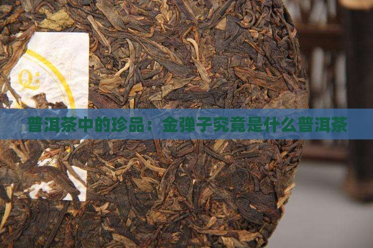 普洱茶中的珍品：金弹子究竟是什么普洱茶