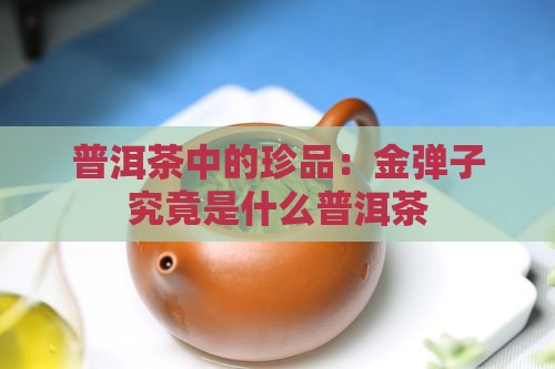 普洱茶中的珍品：金弹子究竟是什么普洱茶