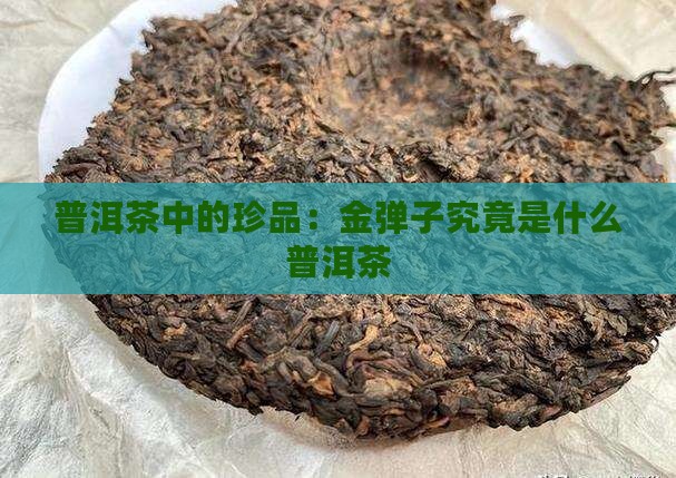 普洱茶中的珍品：金弹子究竟是什么普洱茶
