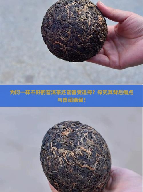 为何一样不好的普洱茶还能备受追捧？探究其背后痛点与热词新词！