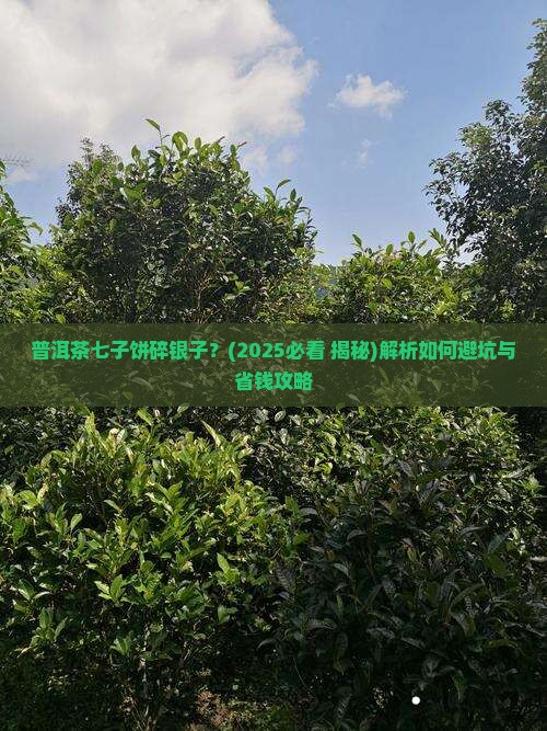 普洱茶七子饼碎银子
