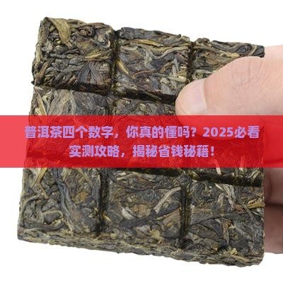 普洱茶四个数字