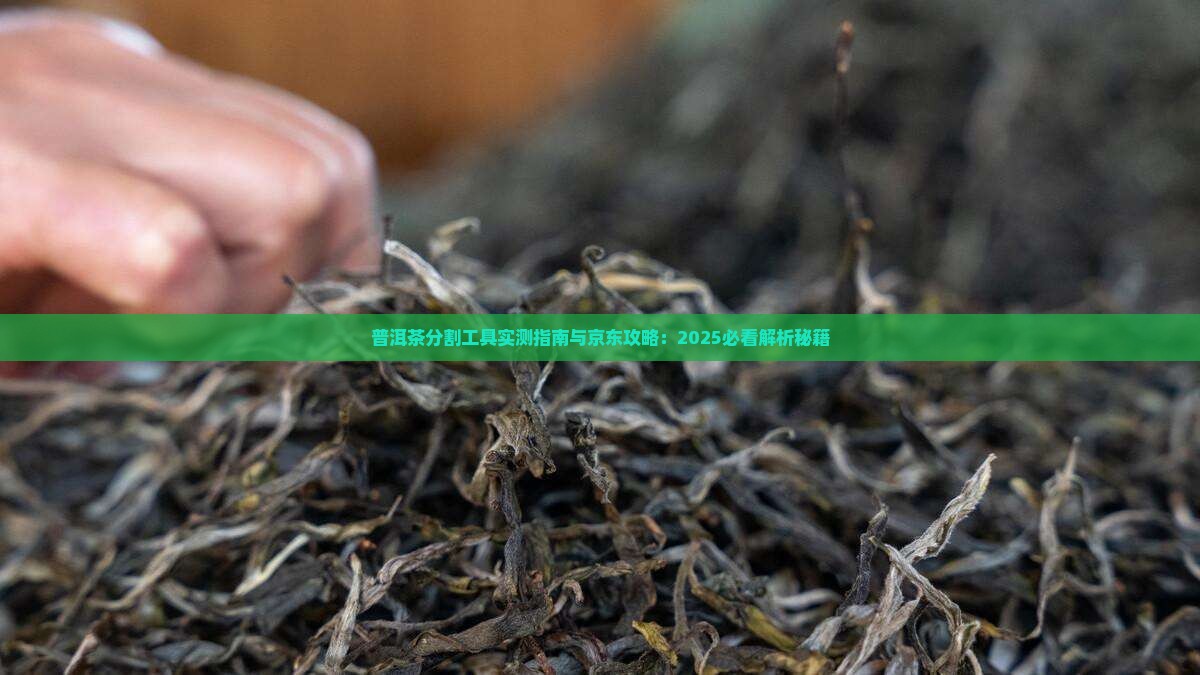 分普洱茶的工具