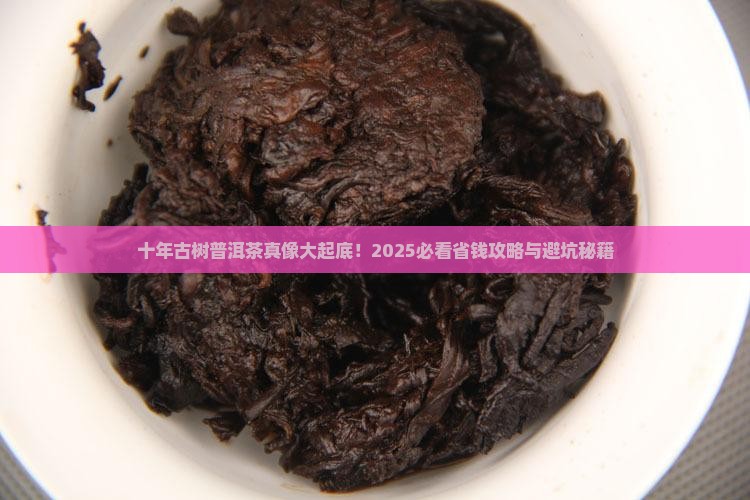 十年古树普洱茶多少钱一饼