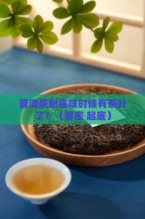普洱茶什么年代才有茶叶