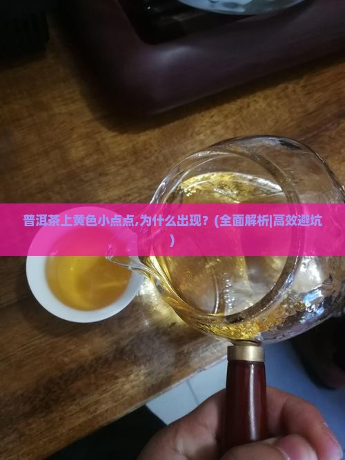 普洱茶上黄色小点点