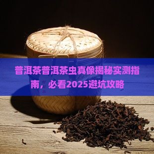 普洱茶的茶虫是白色的吗