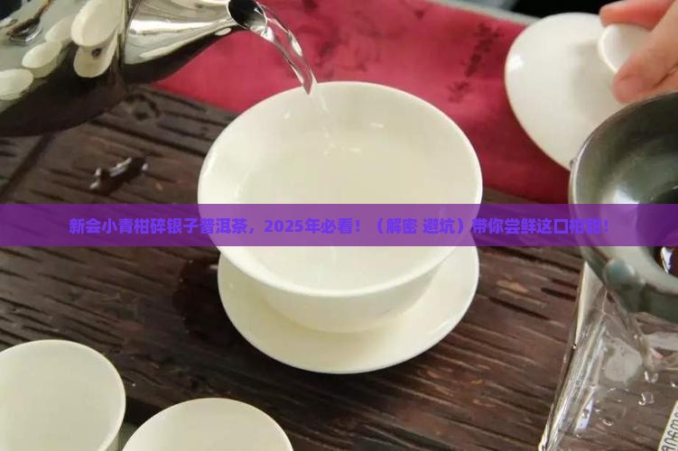 新会小青柑碎银子普洱茶
