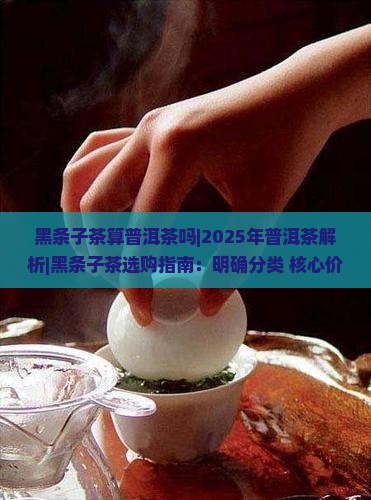 黑条子茶算普洱茶吗