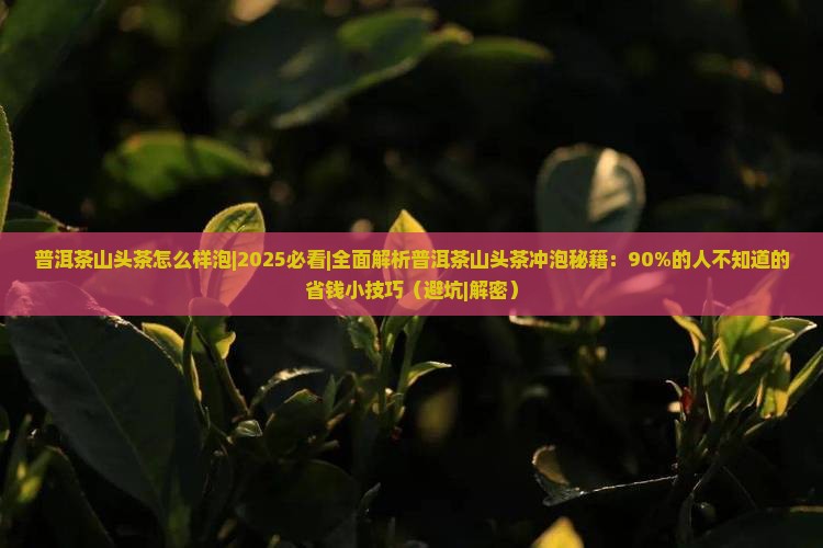 普洱茶山头茶怎么样泡
