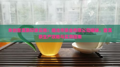 东创普洱茶印象云南