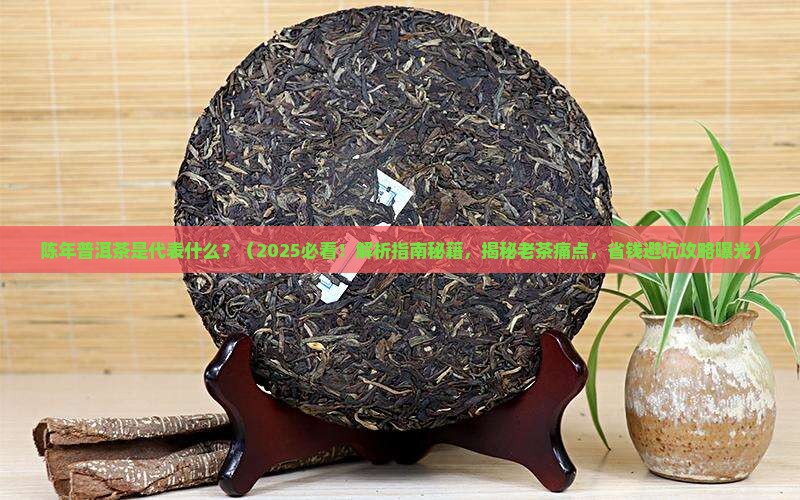 陈年普洱茶是代表什么