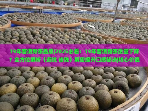 19年普洱新茶品质