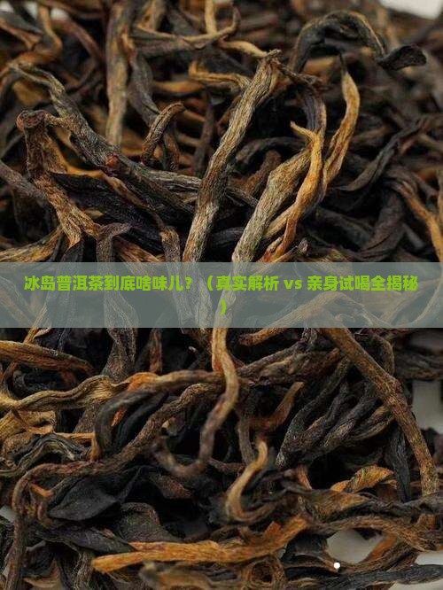 冰岛普洱茶有味道吗吗