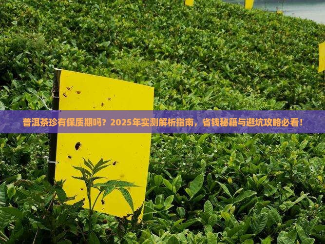 普洱茶珍有保质期吗