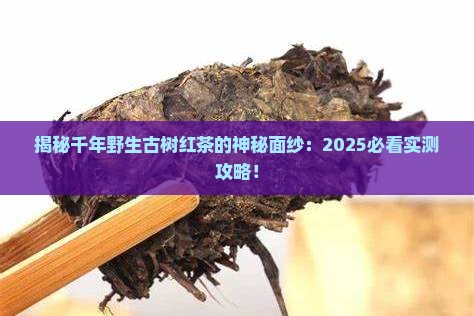 千年野生古树红茶的特点
