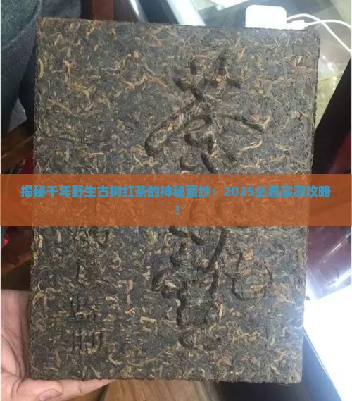 千年野生古树红茶的特点
