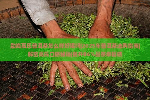 勐海高氏普洱茶怎么样好喝吗