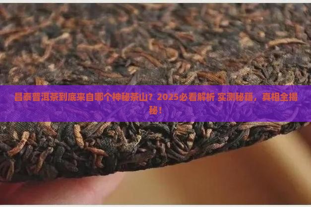 昌泰普洱茶属于什么茶山