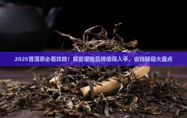 普洱茶喝哪个品牌好